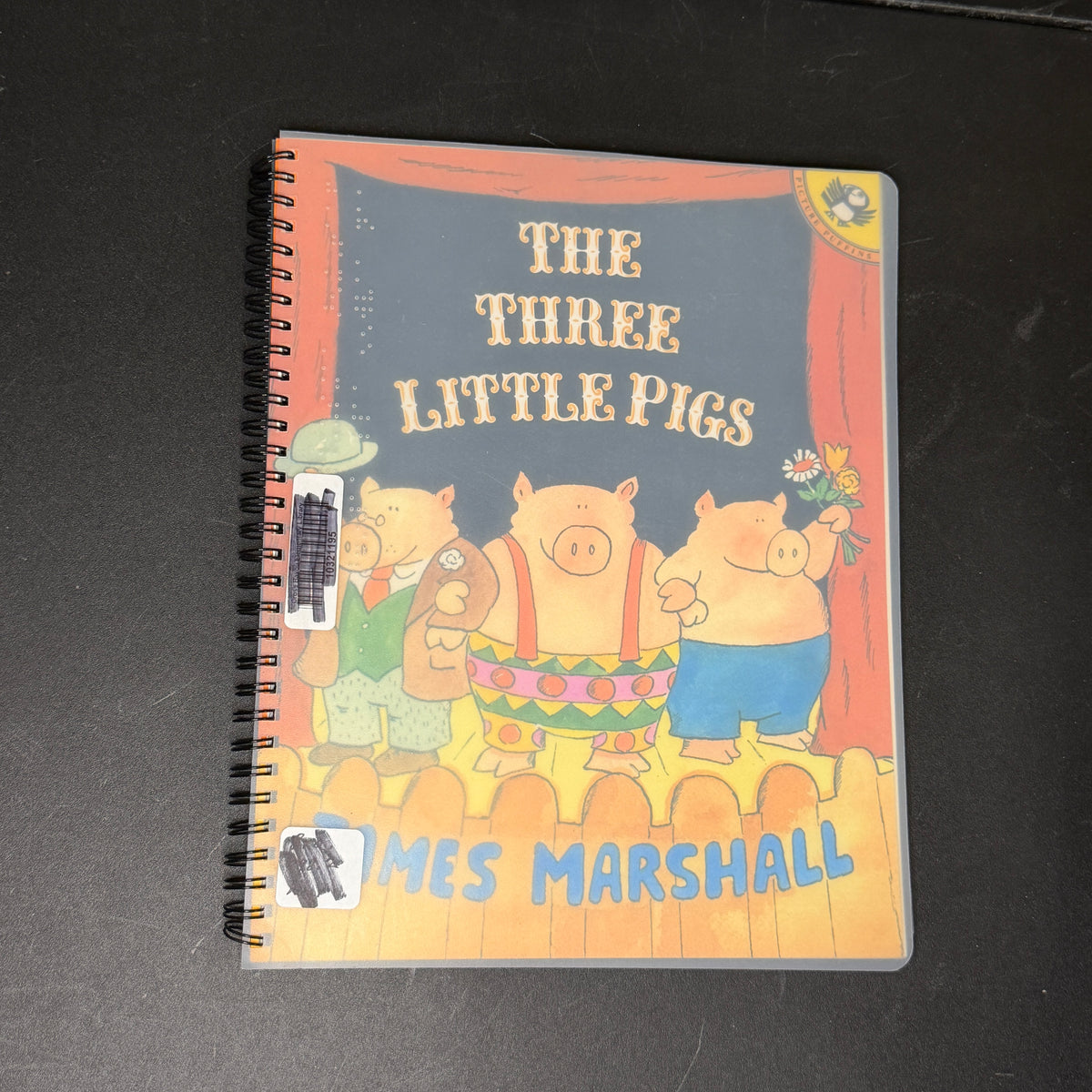 Braille books