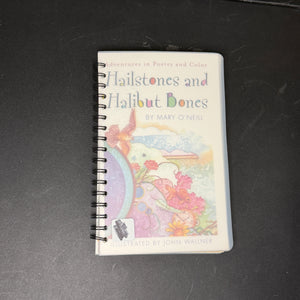 Braille books