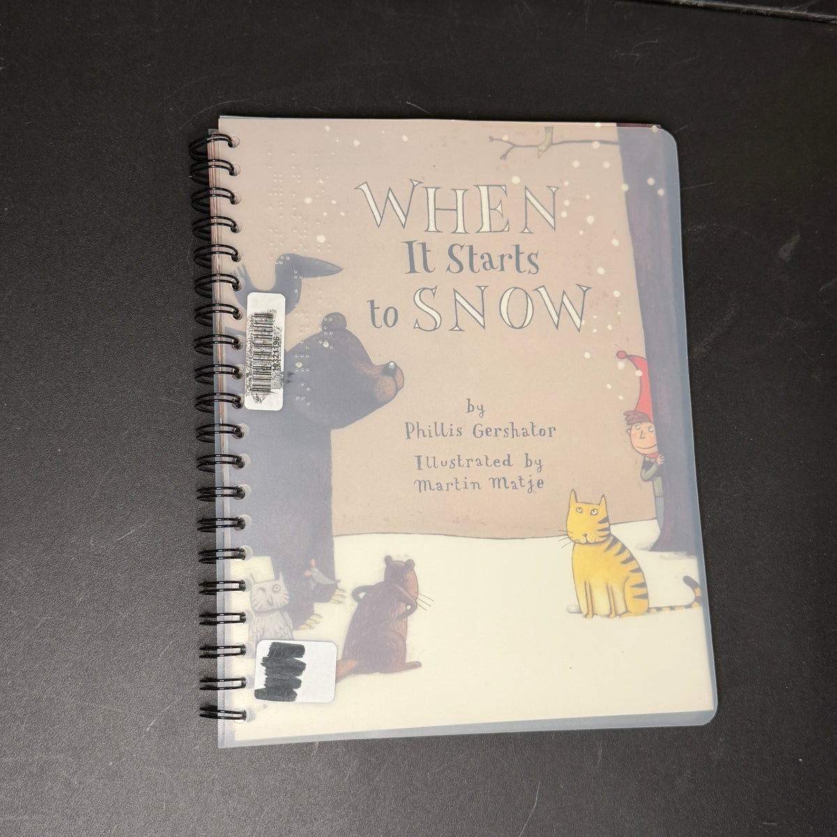 Braille books