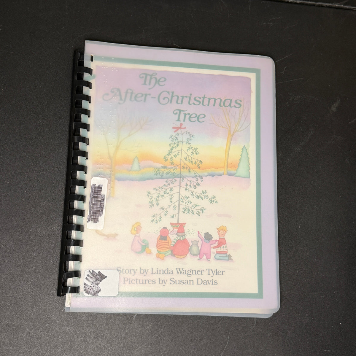 Braille books