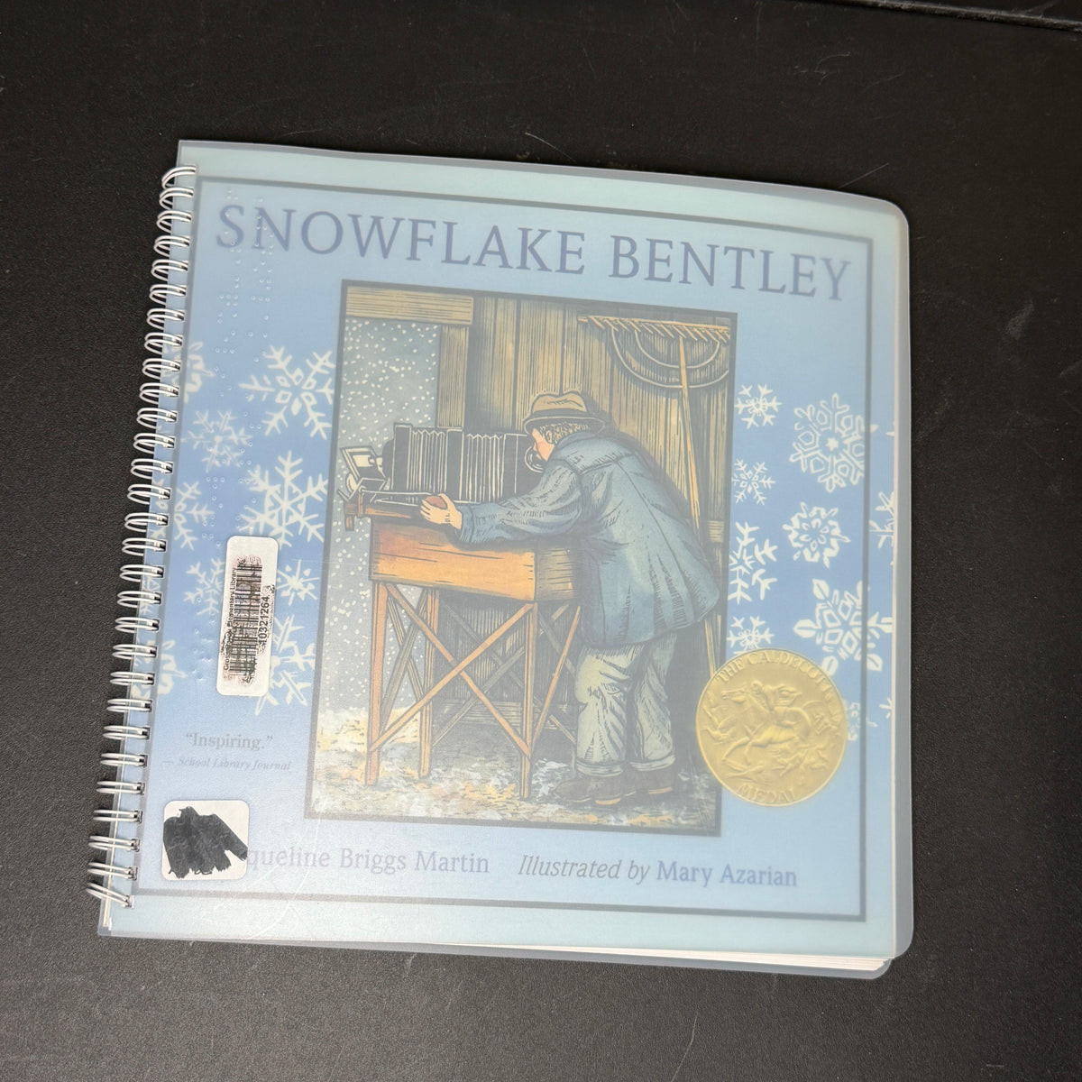 Braille books