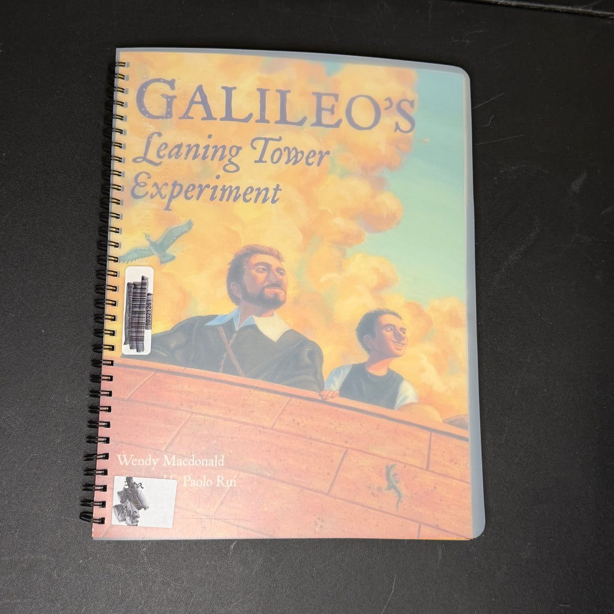 Braille books