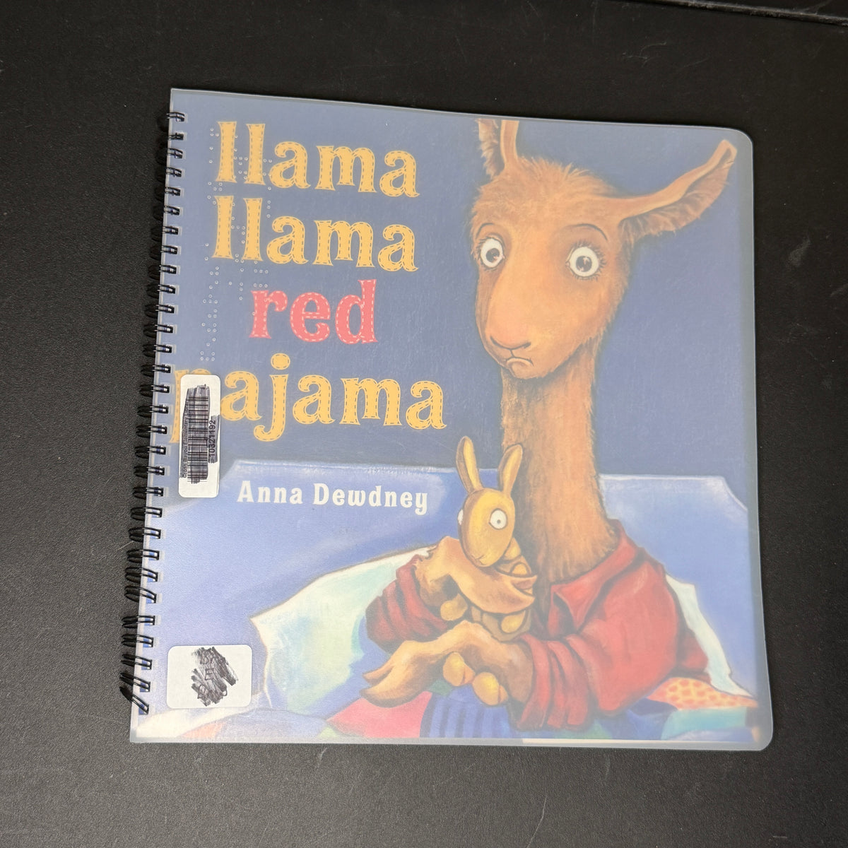 Braille books