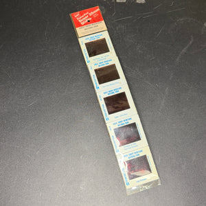 35mm slides - Great Smoky Mountains