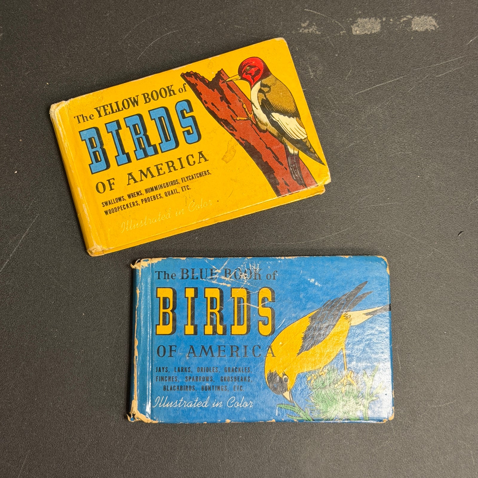 Birds of America