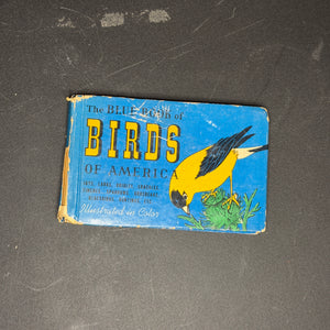 Birds of America