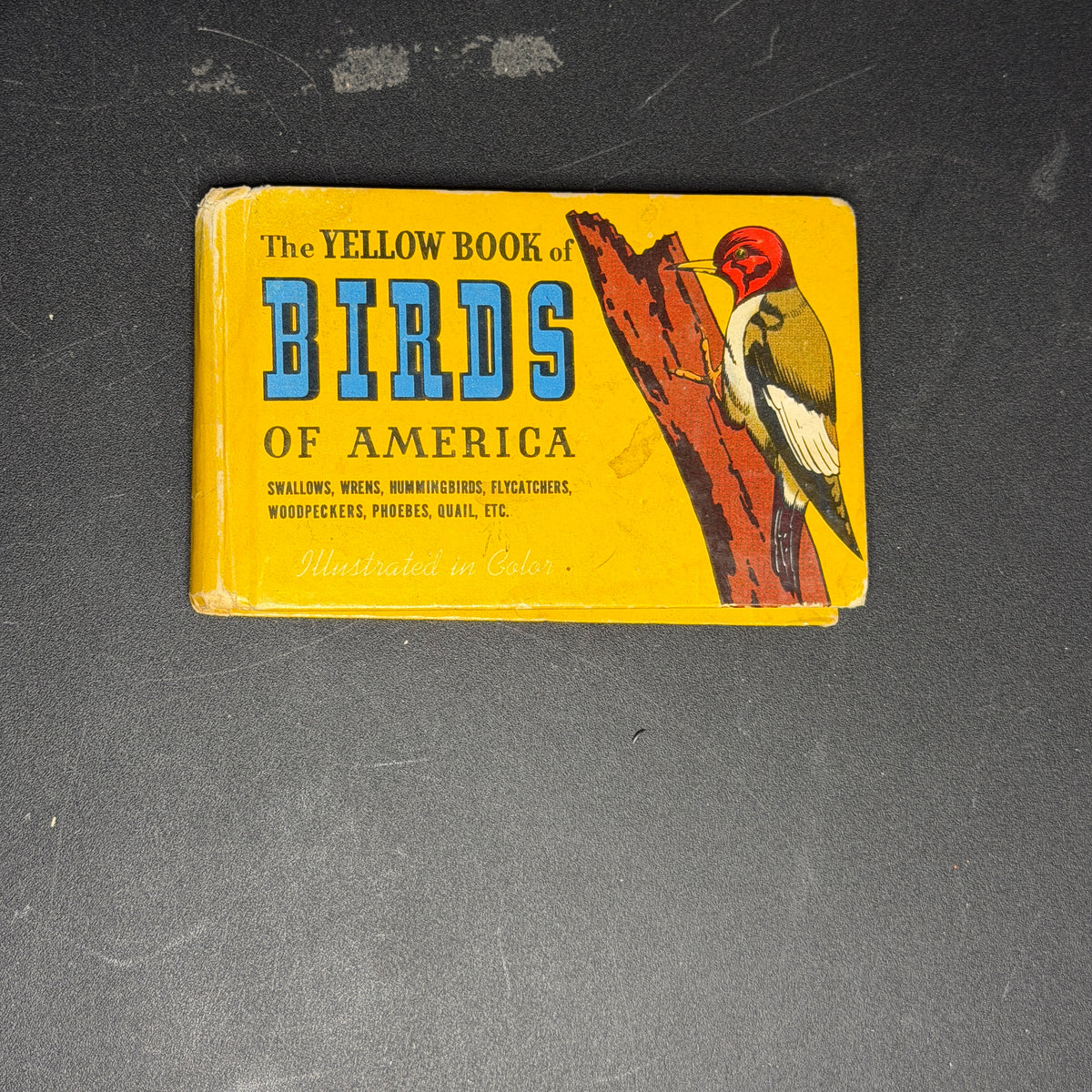 Birds of America