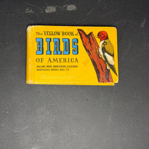 Birds of America