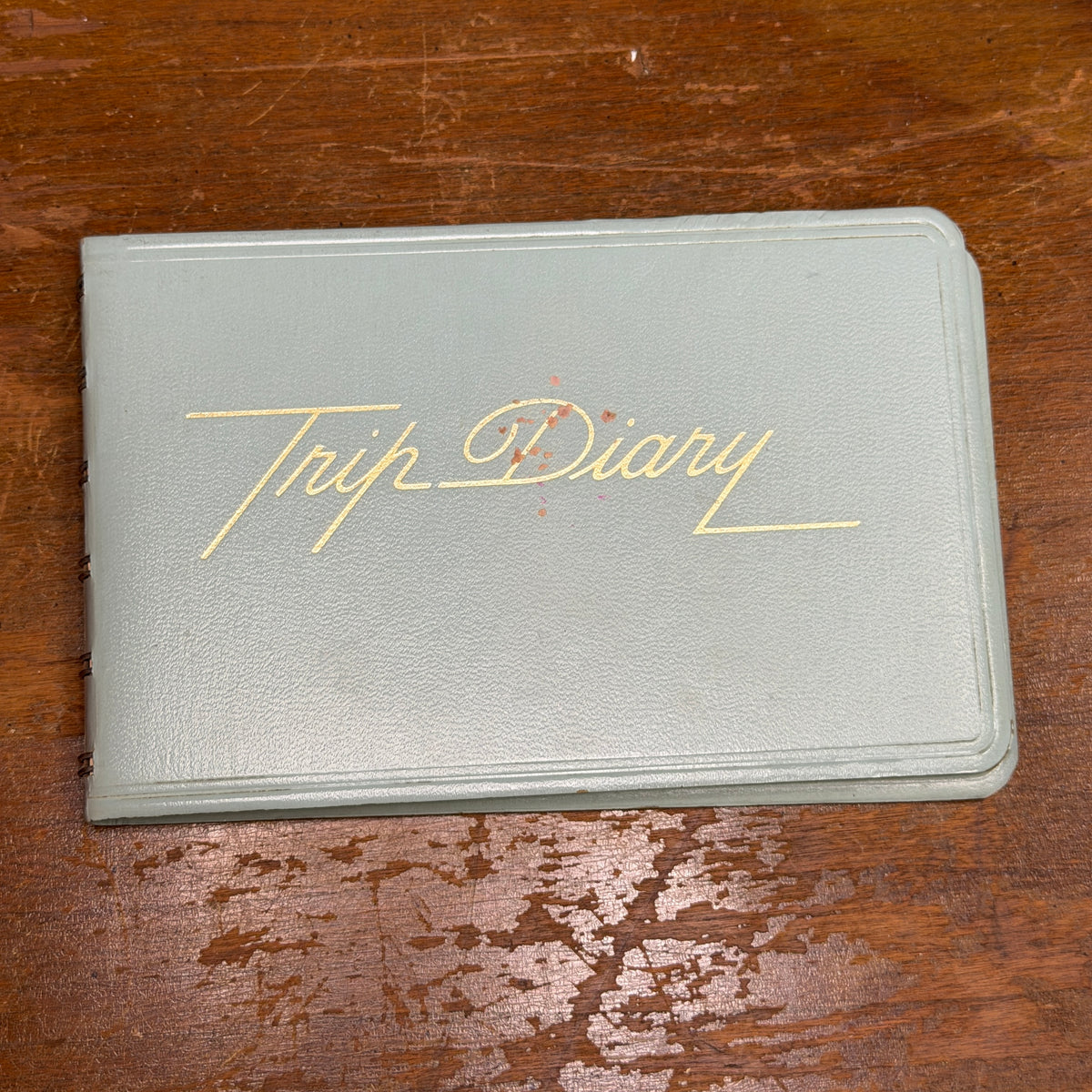 Trip Diary