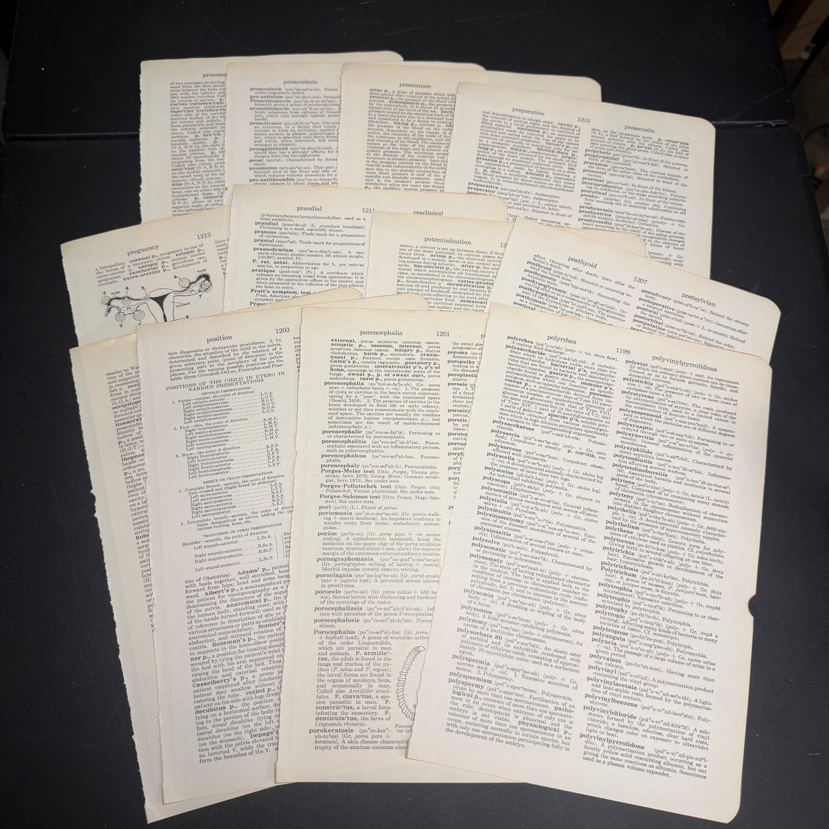Medical book pages - 12 pack