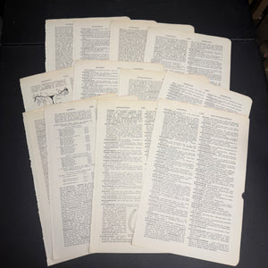 Medical book pages - 12 pack