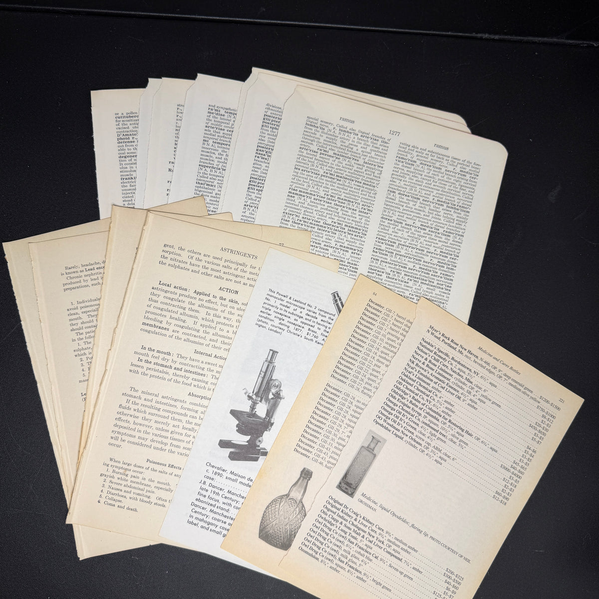 Apothecary box - September 2026