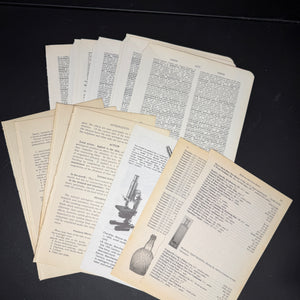 Apothecary box - September 2026