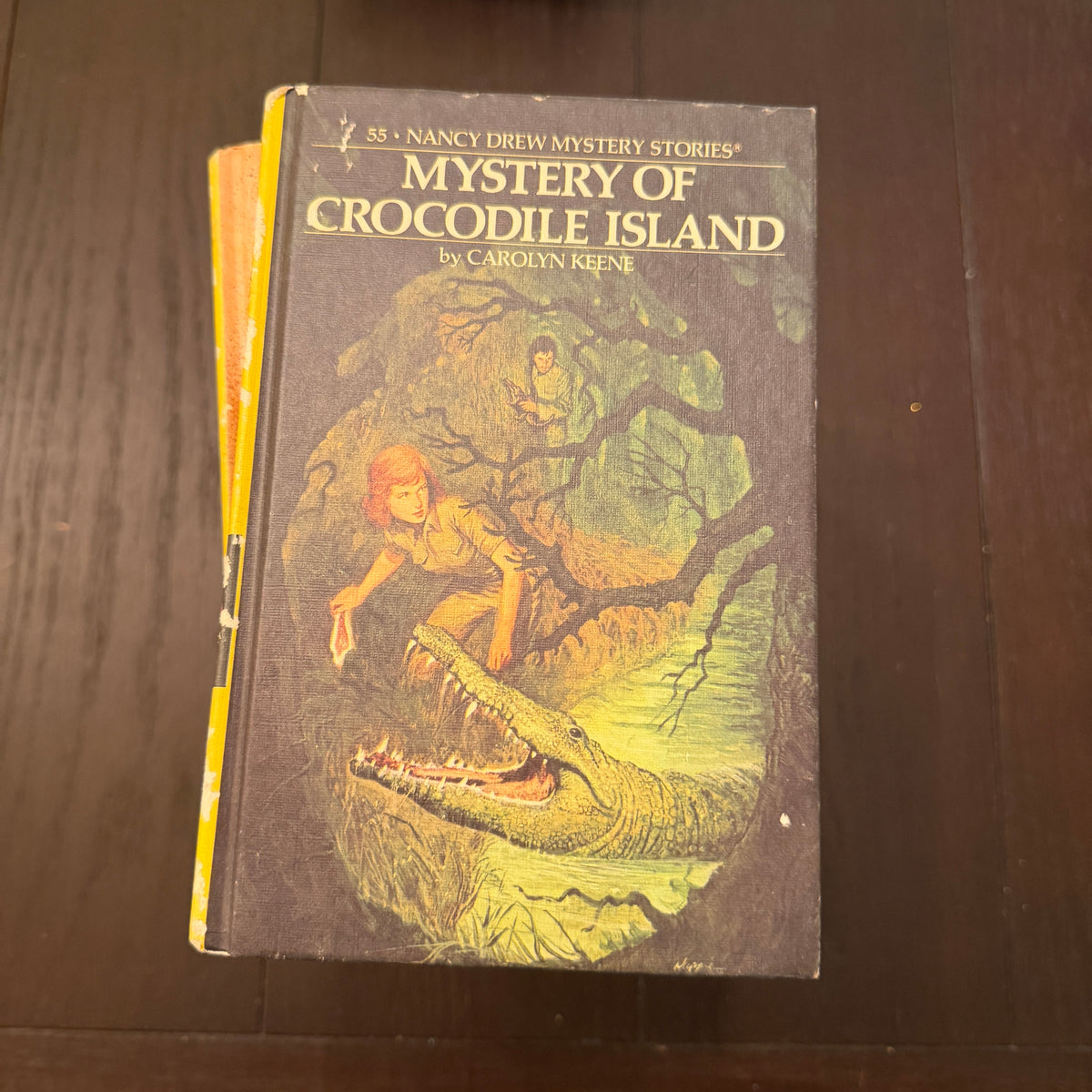 Nancy Drew books