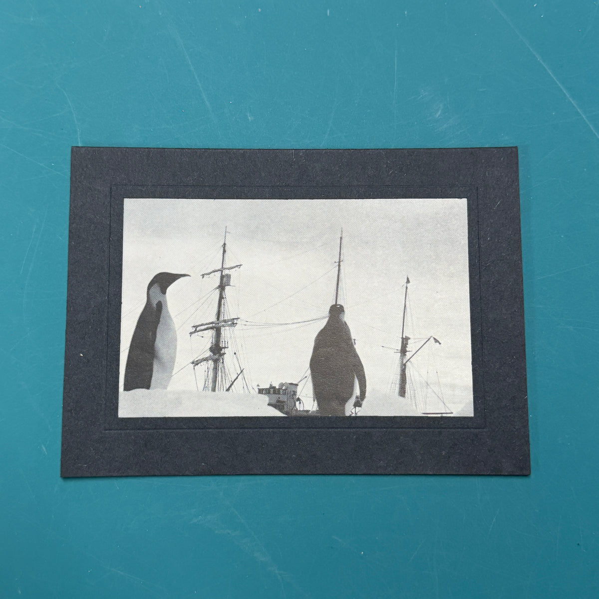 Vintage Nature cards