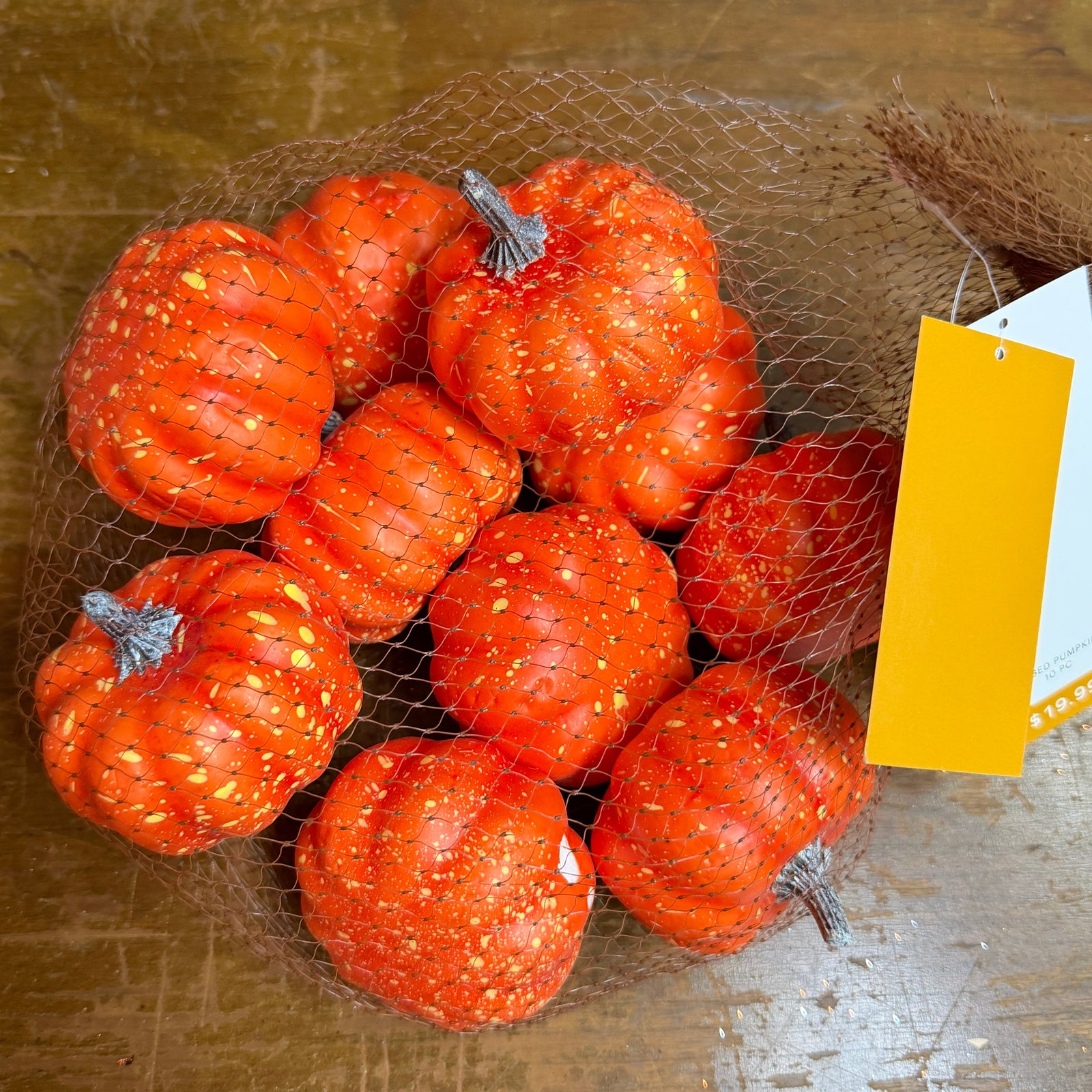 Bag of Pumpkins - 10