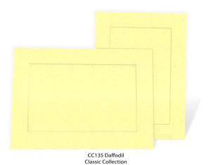 Insert Note Cards - 10 packs - Choose color-Photo note cards-Plymouth Cards