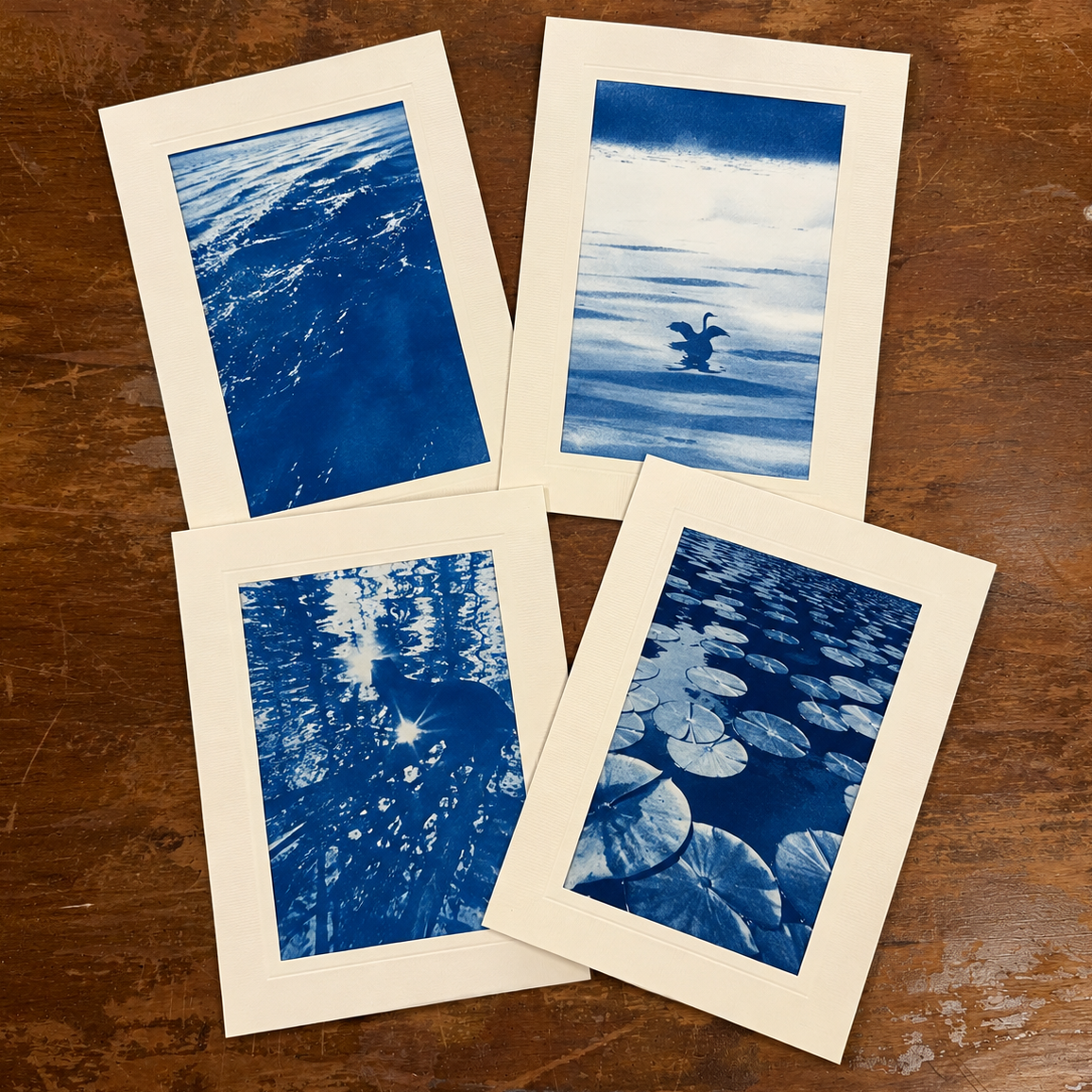 Blueprints of Nature