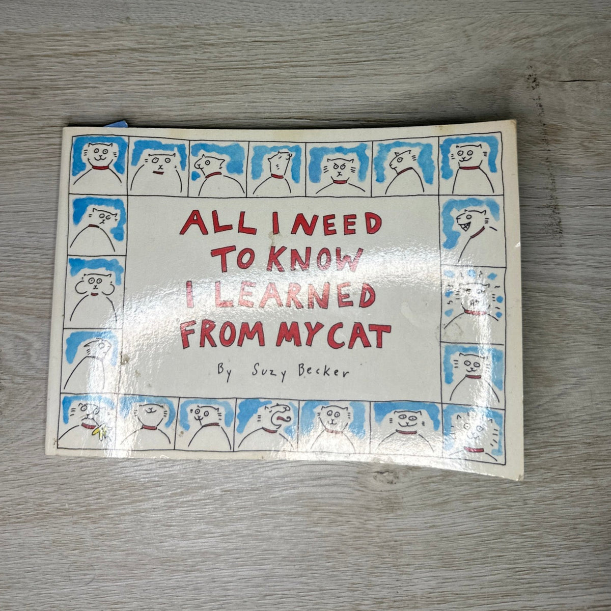 All I Need to Know I Learned From My Cat