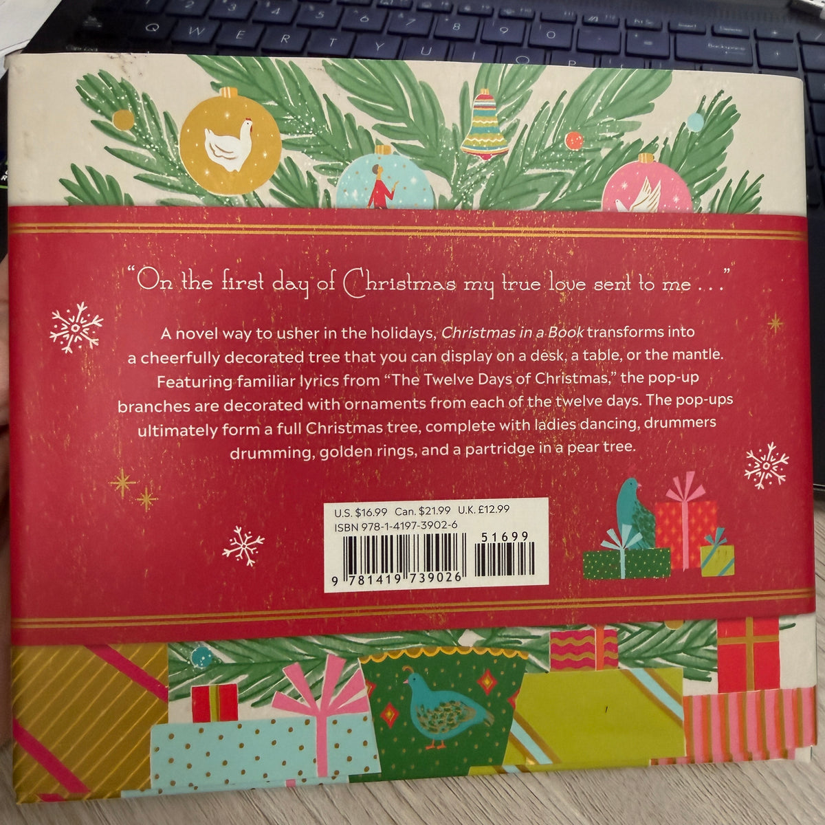 Christmas in a Book