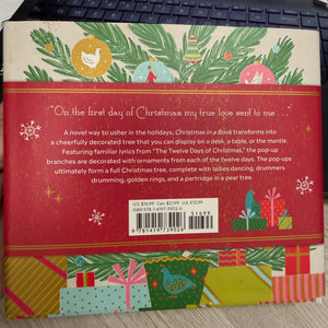 Christmas in a Book