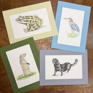 Creekside Critters