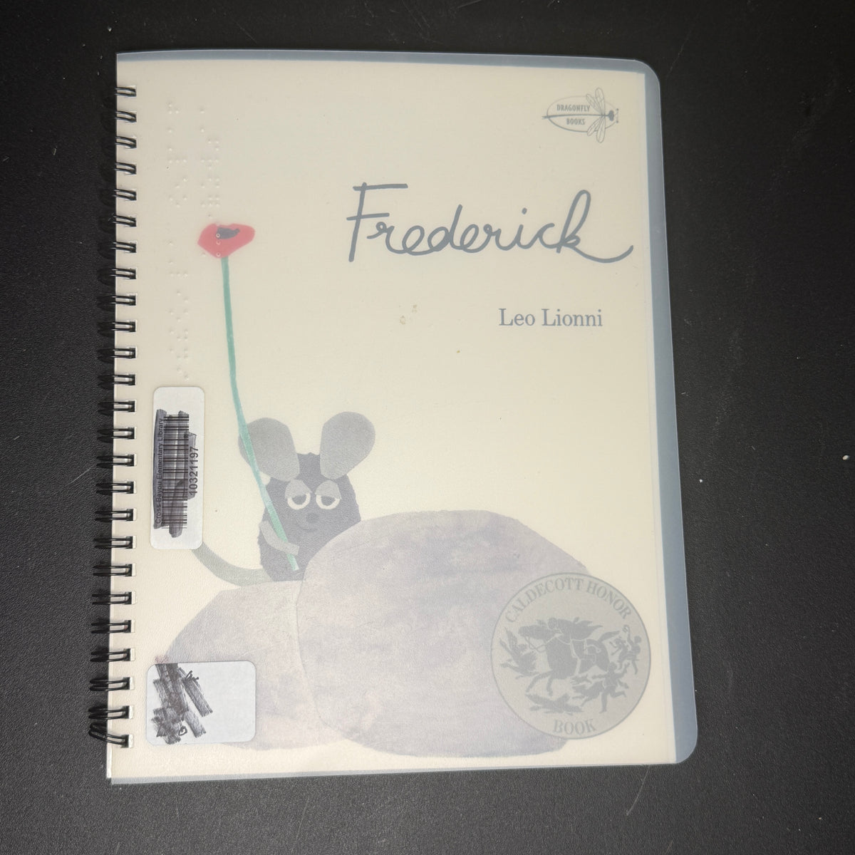 Braille books