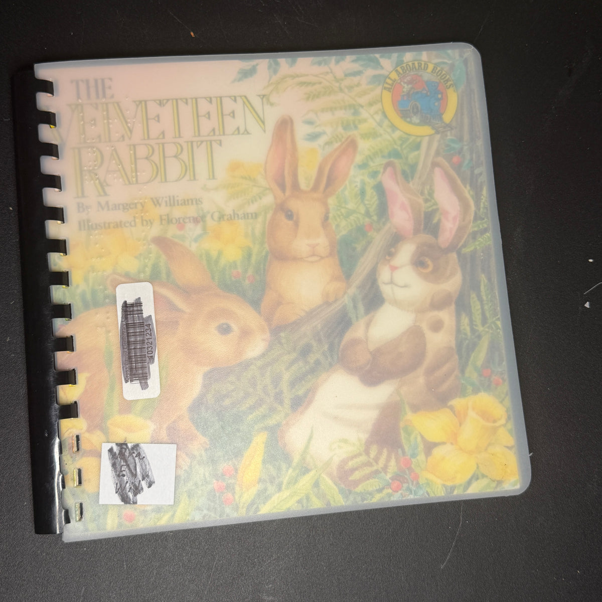 Braille books