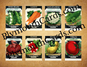 Vintage Seed Packets mini cards sheet - Digital file