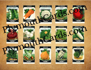 Vintage Seed Packets mini cards sheet - Digital file