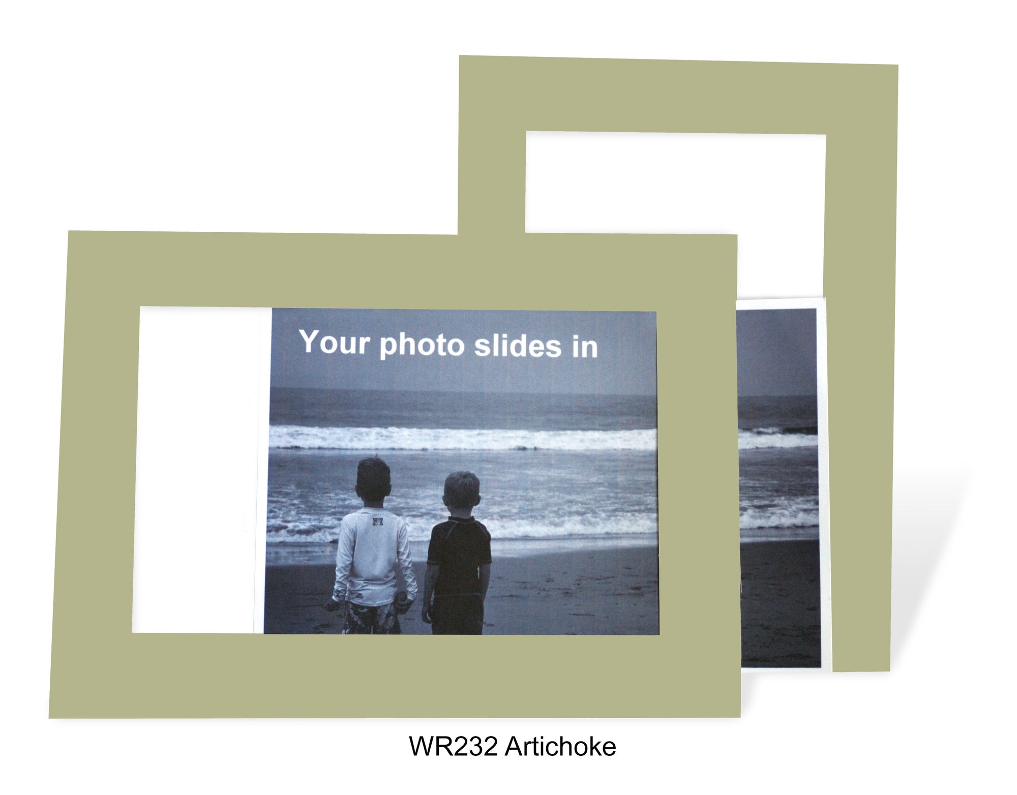 Artichoke #WR232