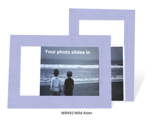 Wild Aster #WR492