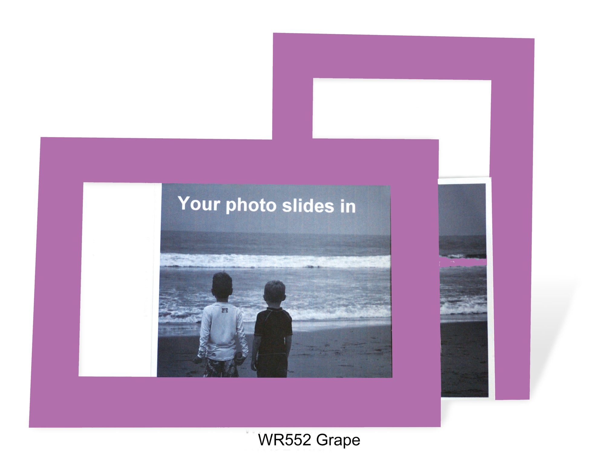 Grape #WR552