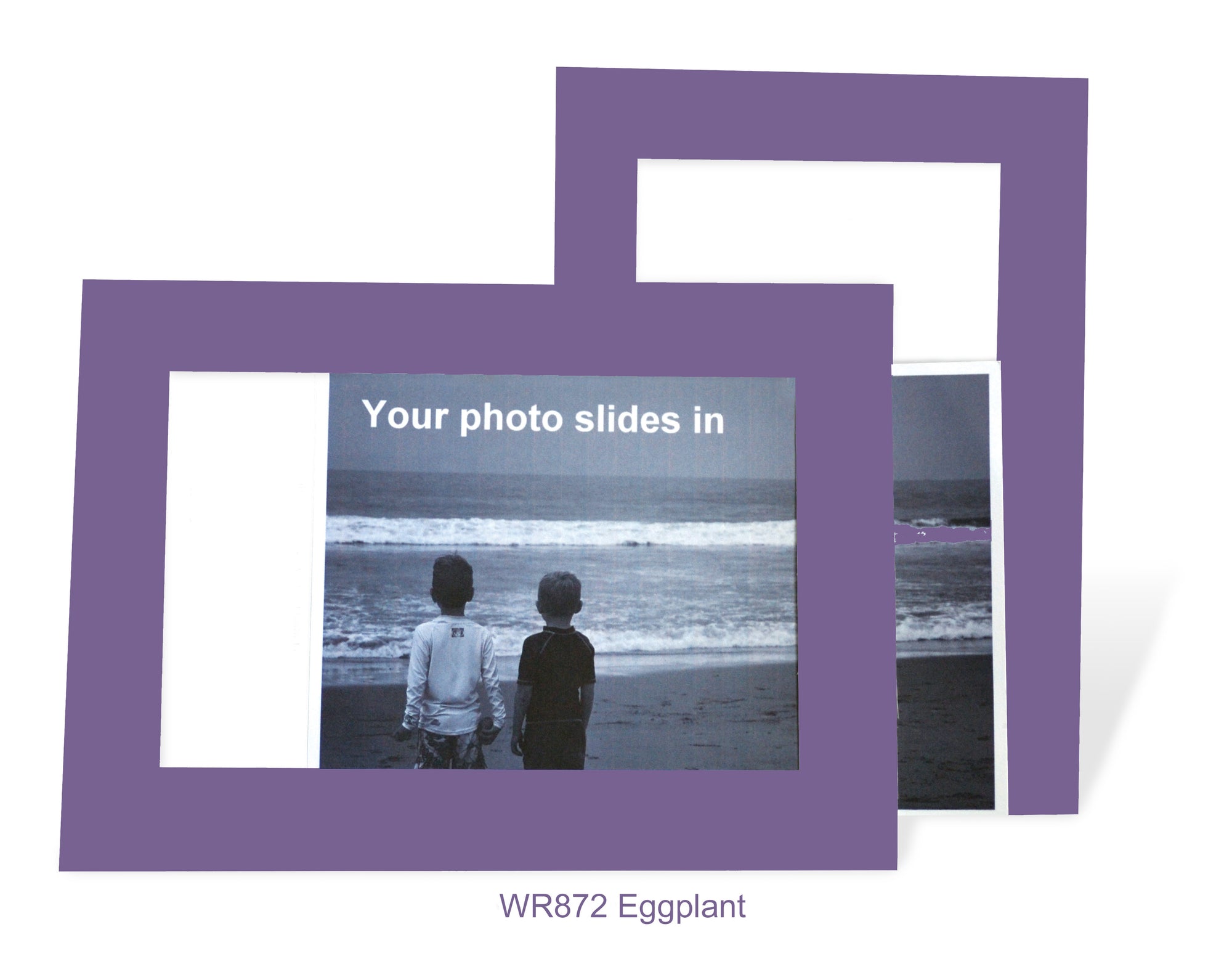 Eggplant #WR872