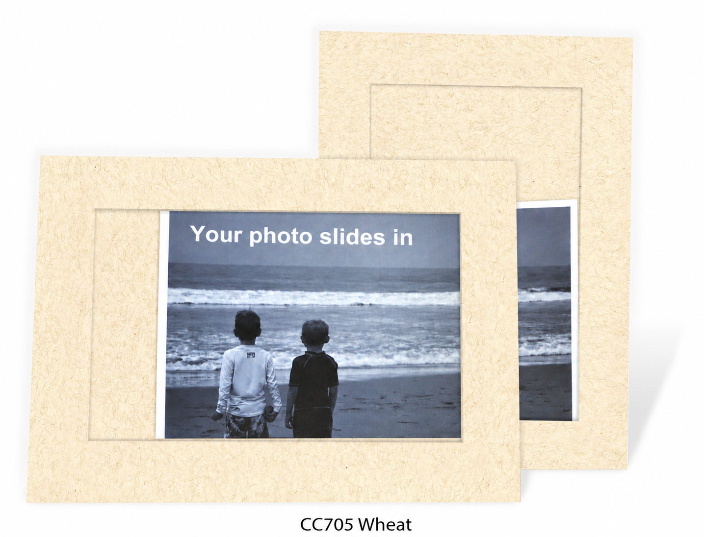 Wheat #CC705