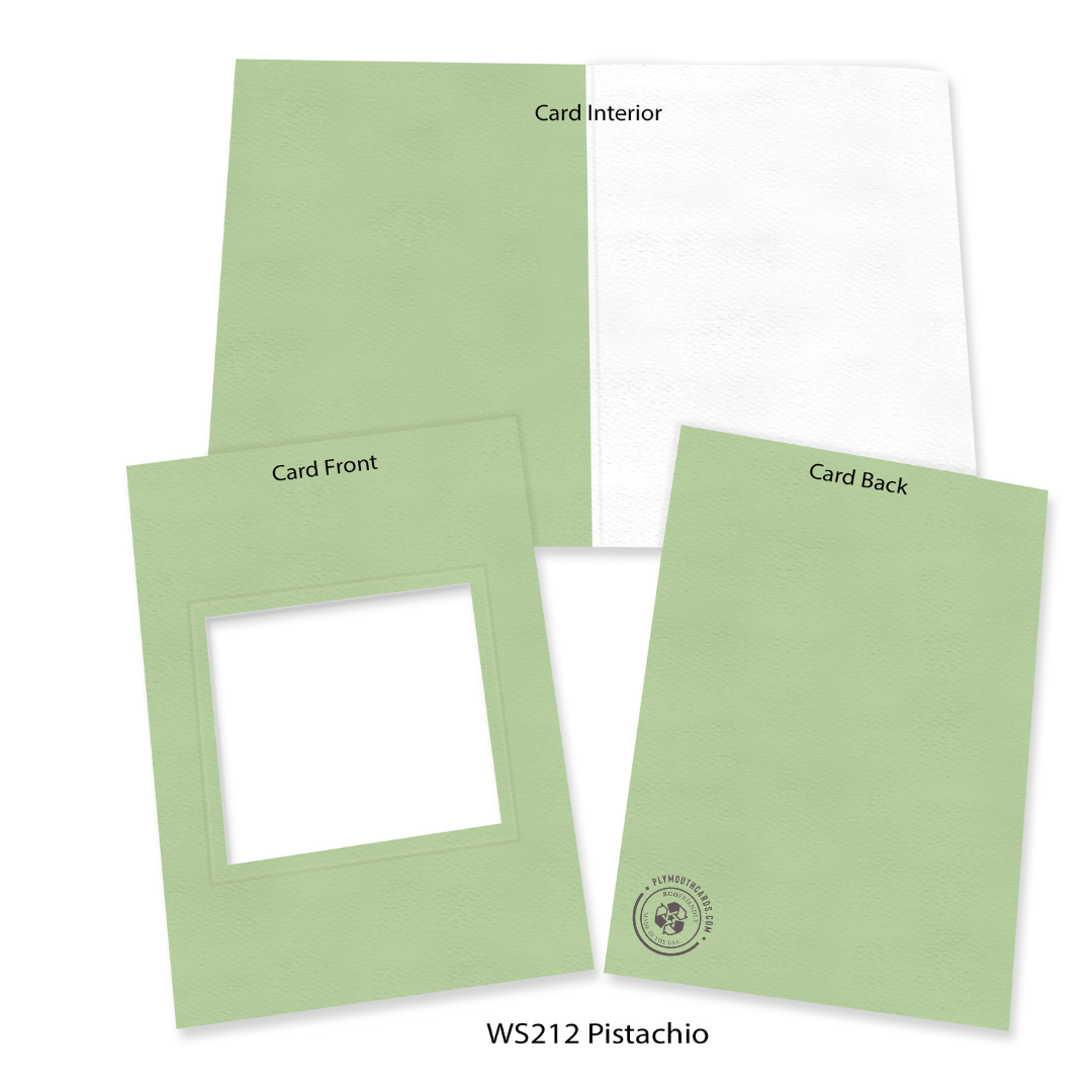 Pistachio #WS212 - 4x4 image
