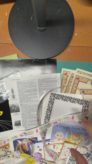 Cat grab bag