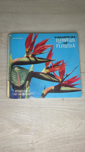 Tropical Flowers of Florida