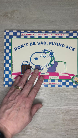 Don't Be Sad, Flying Ace