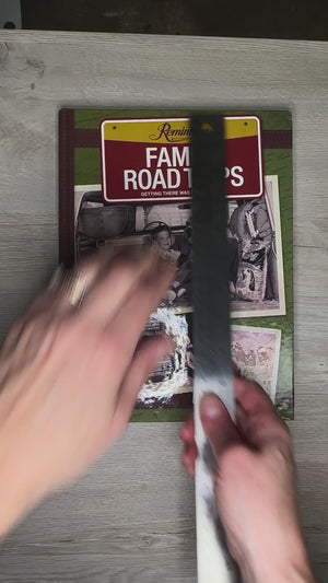 Family Road Trips - Reminisce