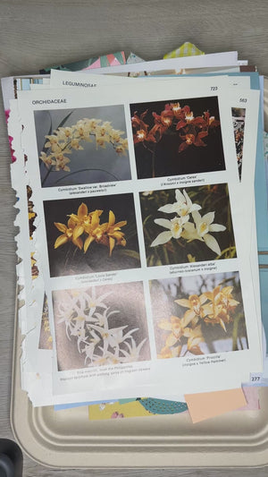 Spring Junk Journal Scrapbook kit - April 2025