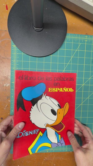 El Libro de Las Pababras en Espanol