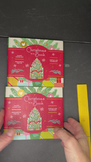 Christmas in a Book