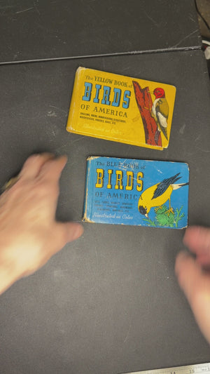 Birds of America
