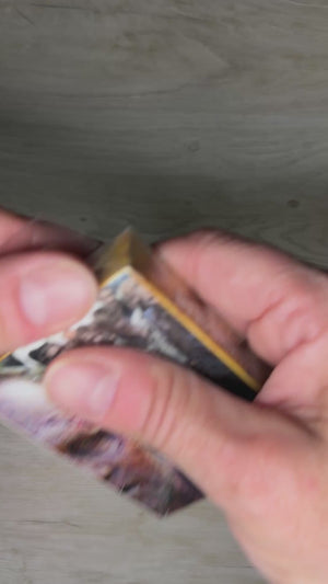 Walking Dead playing cards