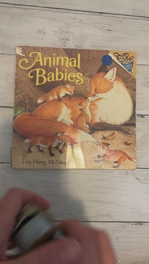 Animal Babies