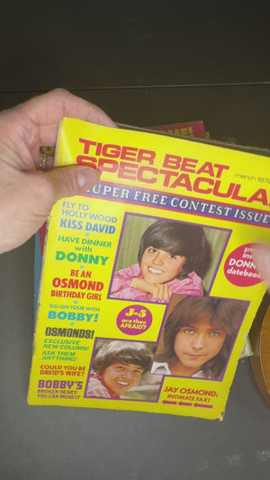 Tiger Beat magazines