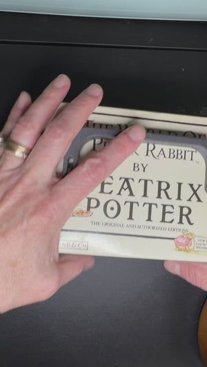 Peter Rabbit case - Empty