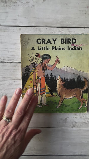 My Indian Tale Library books