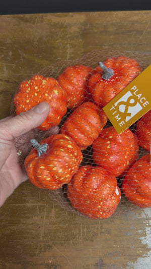 Bag of Pumpkins - 10